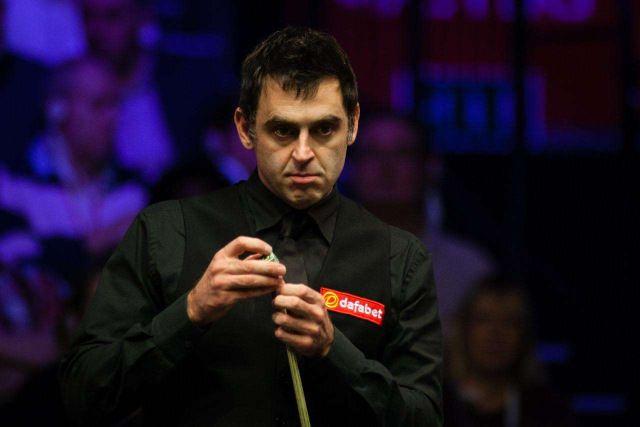 率翻译成 率翻译成